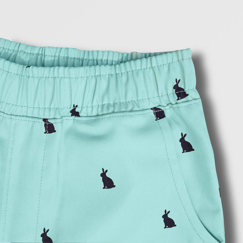 Sky Blue Printed Shorts