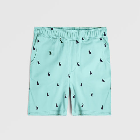 Sky Blue Printed Shorts