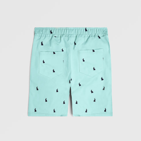 Sky Blue Printed Shorts
